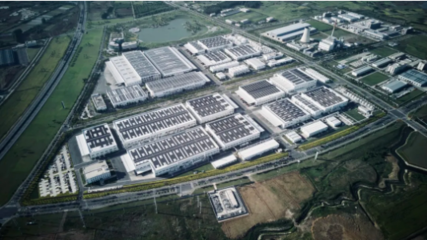 三棵樹榮獲&ldquo;全國工業(yè)和信息化系統(tǒng)先進集體&rdquo;稱號