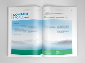 石家莊興燦環保科技平面書裝設計賞析——袁曉樂作品展示于站酷